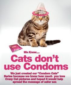 cats-and-condoms